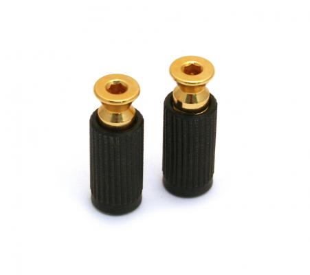 BP-0195-002 Gold Studs and Inserts for Floyd Rose Tremolo