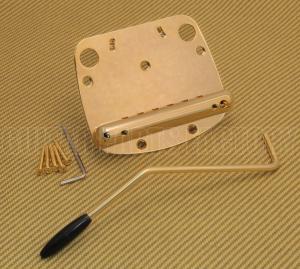 SB-0224-002 Gold Tremolo Tailpiece Assembly & Arm for Mustang Guitar