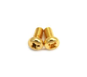 SS-IMPG (2) Gold Import Pickup Switch Screws for Box Switches YM-50/ 30