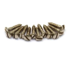 009-5368-049 (12) Fender Slotted Pure Vintage Control Plate Mounting Screws for 52' Tele 0095368049