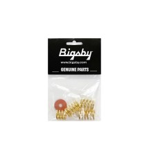 180-2774-006 Polished Gold Bigsby Spring and Washer Pack Steel 1802774006