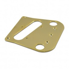BIGSPLGM Adapter Plate For Fender Telecaster And Bigsby B5 or B50 Gold