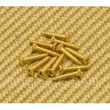 006-1010-049 (12) Genuine Gretsch Guitar Gold Bezel Ring Screws 0453G 0061010049