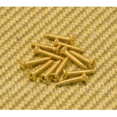 006-1010-049 (12) Genuine Gretsch Guitar Gold Bezel Ring Screws 0453G 0061010049