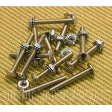 099-2095-000 Genuine Fender Pure Vintage Amp/Amplifier Chassis Hardware Mounting Screws/Nuts 0992095000