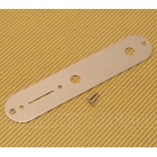 AP-0650-001 Gotoh Nickel Control Plate for Telecaster Guitar