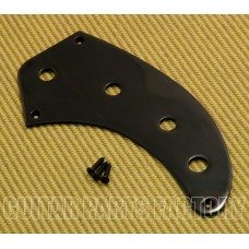 AP-HC033-B Custom Bass Black 4-Hole Control Plate
