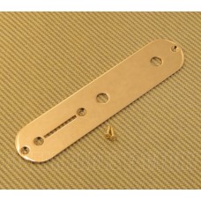 AP-TGC Economy Gold Telecaster Control Plate for Fender