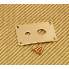 DHJP-G Gold Rectangle Dual Hole Jack Plate For Guitar/Bass w/Screws 