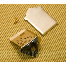 MANDO-MT102G Gold Mandolin Tailpiece & Plain Cover w/ Mounting Screws
