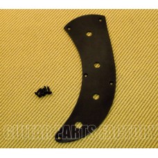 PBTP-B Black Custom "No Pickguard" Control Plate for P Bass & Similar