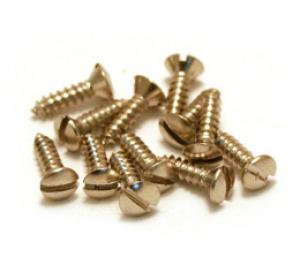 006-3047-049 Gretsch Nickel Bezel Truss Rod Cover Mounting Screws