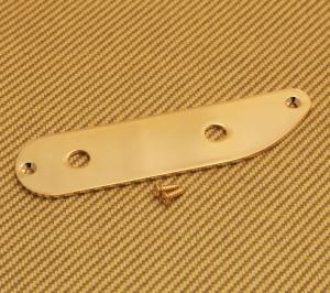TBCP-2G Custom Gold Finish 2-hole Tele/SCPB Bass® Style Control Plate 