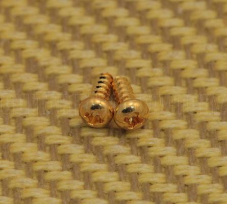GS-3206-002 (2) Gold Truss Rod Cover Screws