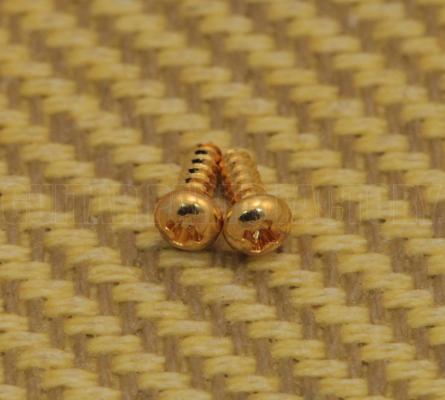 GS-3206-002 (2) Gold Truss Rod Cover Screws