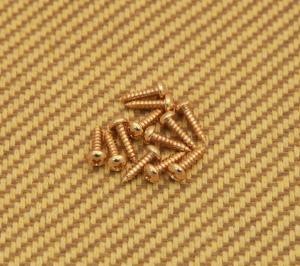001-8823-049 (12) Genuine Fender Gold #3 - 3/8 Tuner Mounting Screws for Guitar & Bass 0018823049