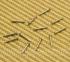 003-6650-049 (12) Nickel Amp Faceplate Pins (Escutcheon) - #18 x 3/8" 0036650049