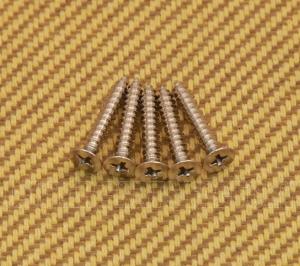 GS-B013-F01 (5) Nickel Flat Head Bass Bridge Mounting Screws