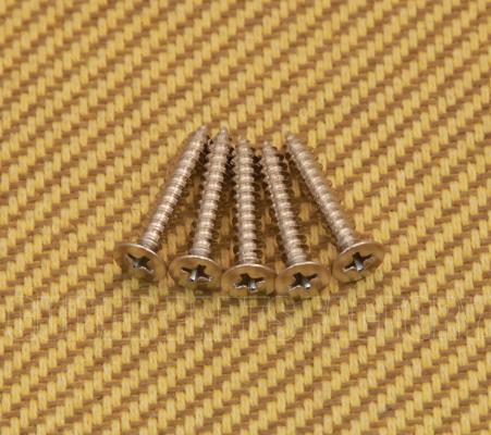 GS-B013-F01 (5) Nickel Flat Head Bass Bridge Mounting Screws