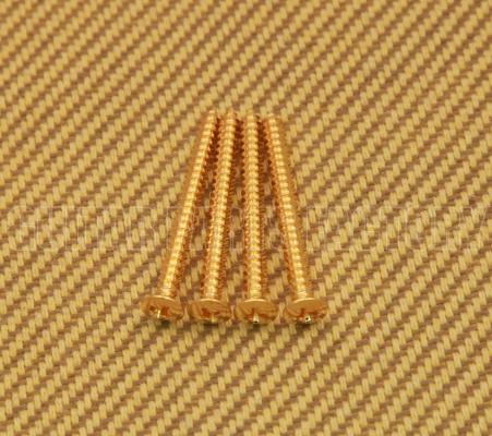 GS-0005-002 (4) Gold Neck Plate Screws #8 x 1-3/4"