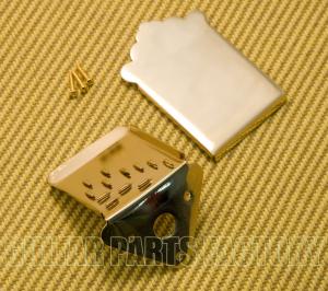 MANDO-MT102G Gold Mandolin Tailpiece & Plain Cover w/ Mounting Screws