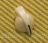 CHK-MINI-C (1) Mini Cream Chicken Head Knob for Pedal/Bass/Guitar/Amp