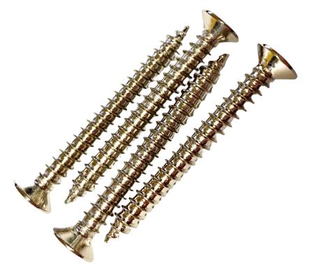 GS-3005-001 (4) Nickel Short Neck Plate Screws Guitar/Bass