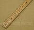 099-7312-921 Fender Player Plus Strat Neck 12" Radius 22 Med Jumbo Frets Maple 0997312921