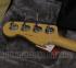 019-3930-718 Fender American Professional Precision Bass Mystic Surf Green Case 0193930718