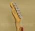 011-6800-794 Fender Susan Tedeschi Telecaster Guitar Rosewood and Aged Caribbean Mist 0116800794