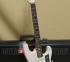 017-3900-756 Fender Shell Pink American Professional II Stratocaster Guitar with Case 0173900756