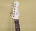 017-3900-756 Fender Shell Pink American Professional II Stratocaster Guitar with Case 0173900756